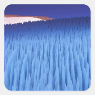 Pegatina Cuadrada SA, Chile, Región de Coquimbo, Nieve Penitente;