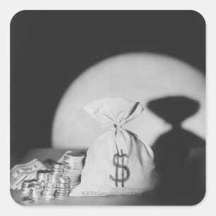 Pegatina Cuadrada Saco de dinero