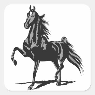 Pegatina Cuadrada Saddlebred estadounidense
