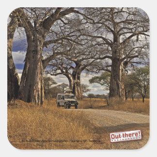 Pegatina Cuadrada Safari