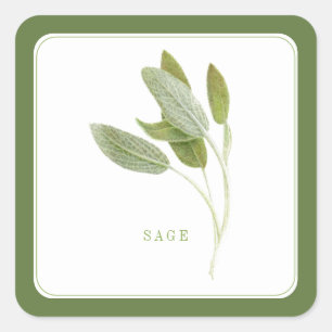 Pegatina Cuadrada SAGE FRESCO Pegatinas cuadrados pequeños - Verde