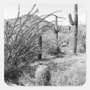 Pegatina Cuadrada Saguaro Cactus Desert Garden Personalizado Decreto