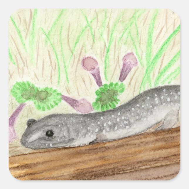 Pegatina Cuadrada Salamander (Anverso)