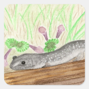 Pegatina Cuadrada Salamander