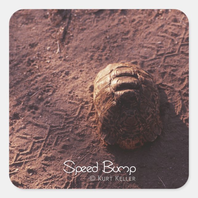 Pegatina Cuadrada Salto de velocidad (Anverso)