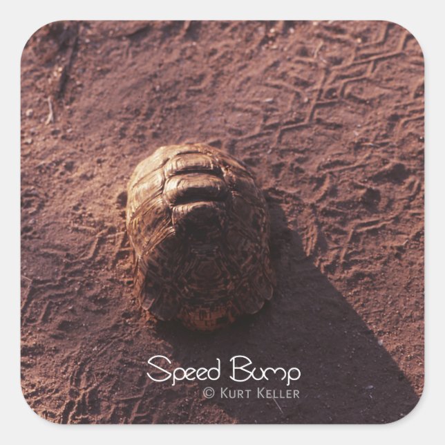 Pegatina Cuadrada Salto de velocidad (Anverso)