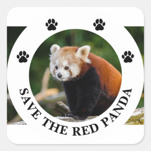 Pegatina Cuadrada Salva la vida silvestre del Panda Rojo
