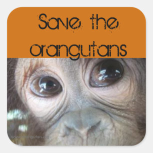 Pegatina Cuadrada Salvando a los Orangutans
