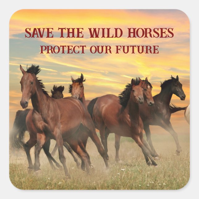 Pegatina Cuadrada Salvar a los Caballos Salvajes (Anverso)