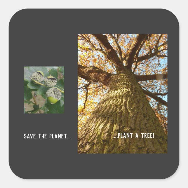 Pegatina Cuadrada Salvar El Planeta (Anverso)