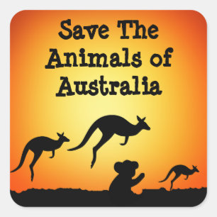 Pegatina Cuadrada Salvemos a los animales de Australia