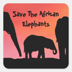 Pegatina Cuadrada Salvemos a los elefantes africanos