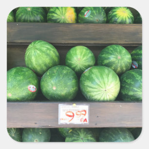 Pegatina Cuadrada Sandías en venta Bodega NYC Fotografía