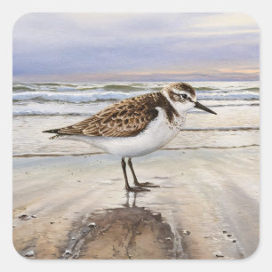 Pegatina Cuadrada Sandpiper en el Beach Bird Art