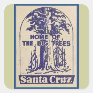 Pegatina Cuadrada Santa Cruz California - Casa de los Grandes Árbol