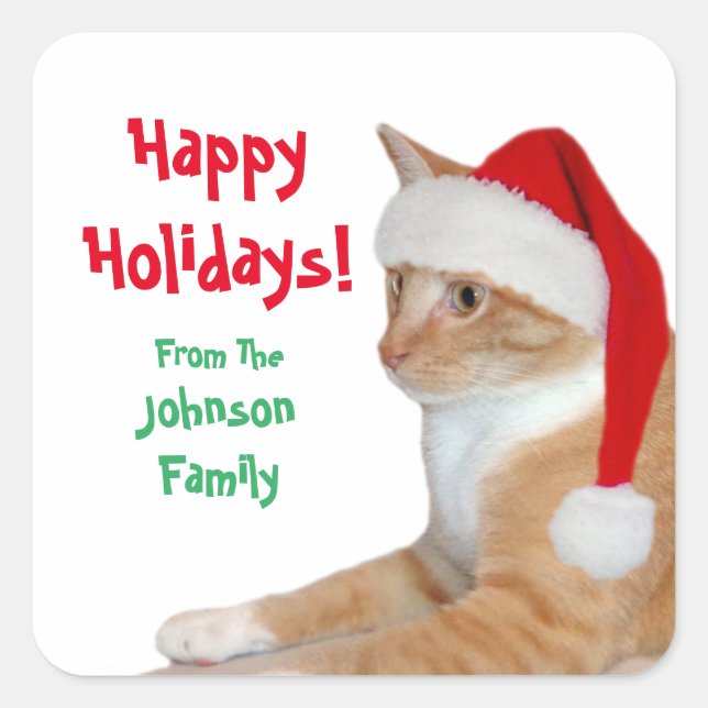 Pegatina Cuadrada Santa Gato (Anverso)