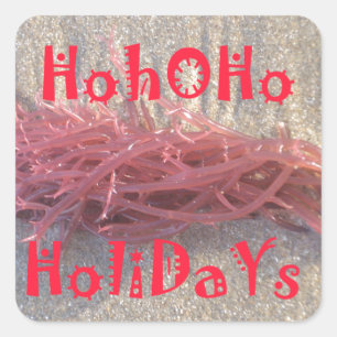 Pegatina Cuadrada Santa HoHoHo Feliz Navidad desde los colores de la