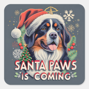 Pegatina Cuadrada Santa Paws Viene Con Navidades Perros De Berna