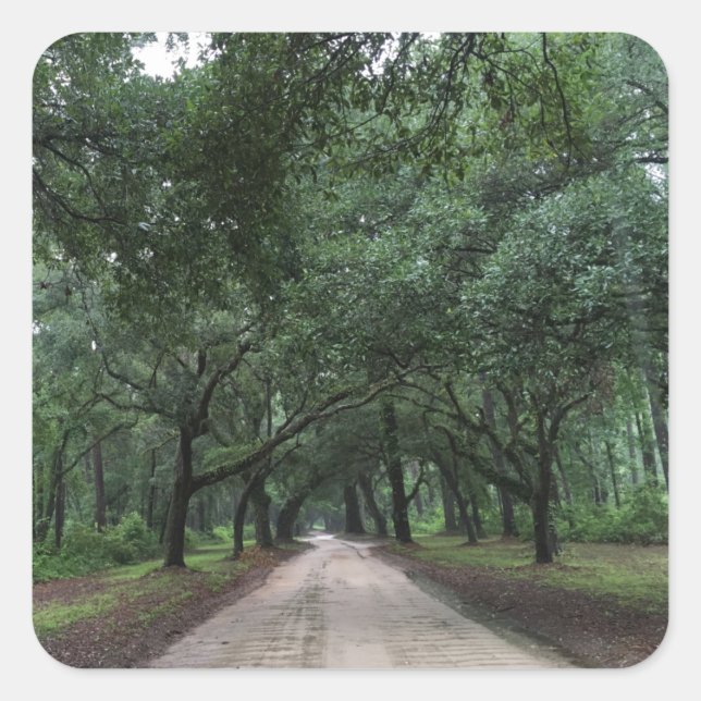 Pegatina Cuadrada santee road (Anverso)