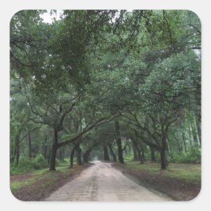 Pegatina Cuadrada santee road