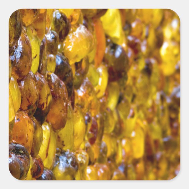 Pegatina Cuadrada Santo Tomás 2 (Anverso)