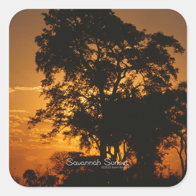 Pegatina Cuadrada Savannah Sunset (Anverso)