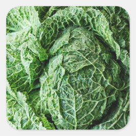 Pegatina Cuadrada Savoy Cabbage