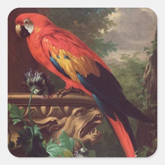 Pegatina Cuadrada Scarlet Macaw en un paisaje (aceite sobre lienzo) (Anverso)