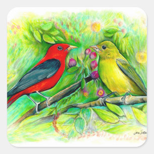 Pegatina Cuadrada Scarlet Tanagers Bird Art