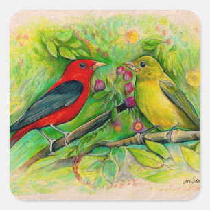 Pegatina Cuadrada Scarlet Tanagers Bird Art