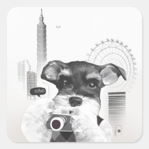 Pegatina Cuadrada Schnauzer con cámara