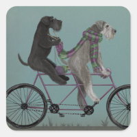 Schnauzer Tandem