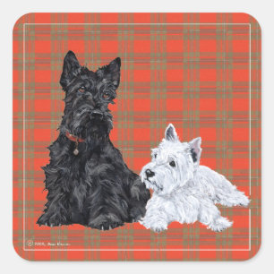Pegatina Cuadrada Scottie Adulto y cachorro Westie