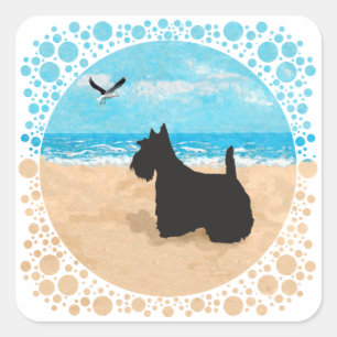 Pegatina Cuadrada Scottie en la playa con gaviota