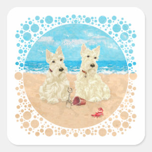 Pegatina Cuadrada Scotties trigueños en la playa