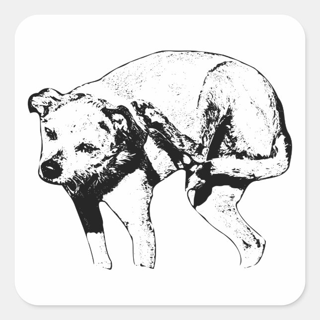 Pegatina Cuadrada Scratcher espeluznante (Anverso)