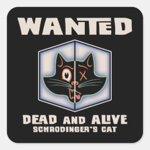 Pegatina Cuadrada Se busca el gato de Schrodinger