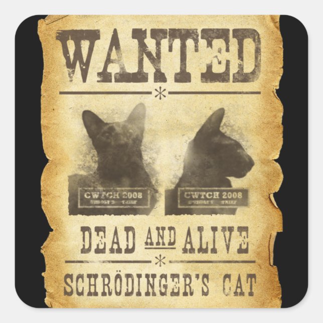 Pegatina Cuadrada Se busca vivo y muerto. El gato de Schroedinger. (Anverso)