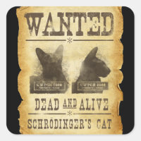 Se busca vivo y muerto. El gato de Schroedinger.