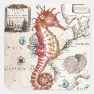 Pegatina Cuadrada Seahorse Shabby