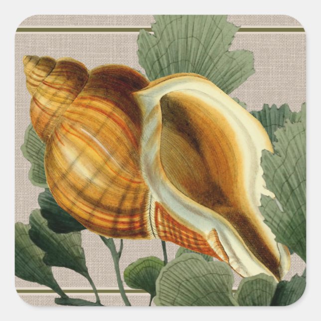 Pegatina Cuadrada Seashell Vintage Beach Square Sticker (Anverso)