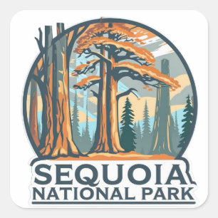 Pegatina Cuadrada Secuoyas gigantes del Parque Nacional Sequoia retr