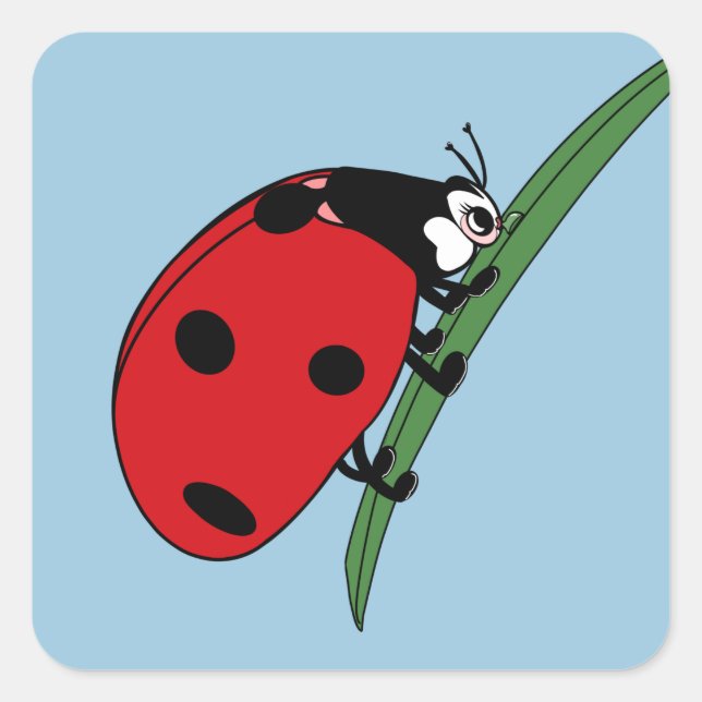 Pegatina Cuadrada Sed Ladybug (Anverso)