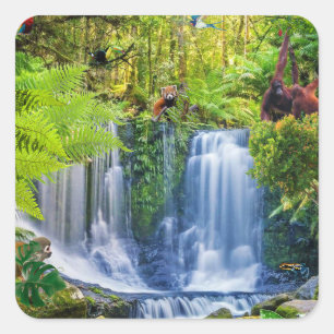 Pegatina Cuadrada Selva tropical y animales