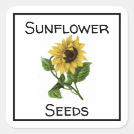 Pegatina Cuadrada Semillas de girasol