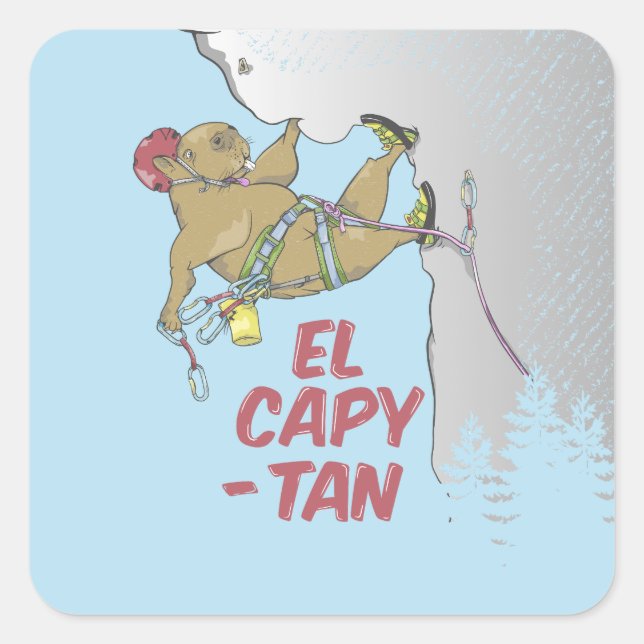 Pegatina Cuadrada Semillas de girasol (Anverso)