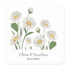Sencillo Jardín Silvestre Daisy