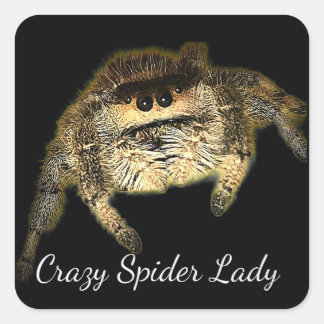Pegatina Cuadrada Señora Araña Loca