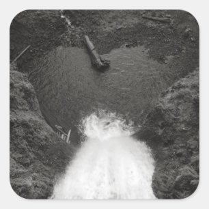 Pegatina Cuadrada Sentido