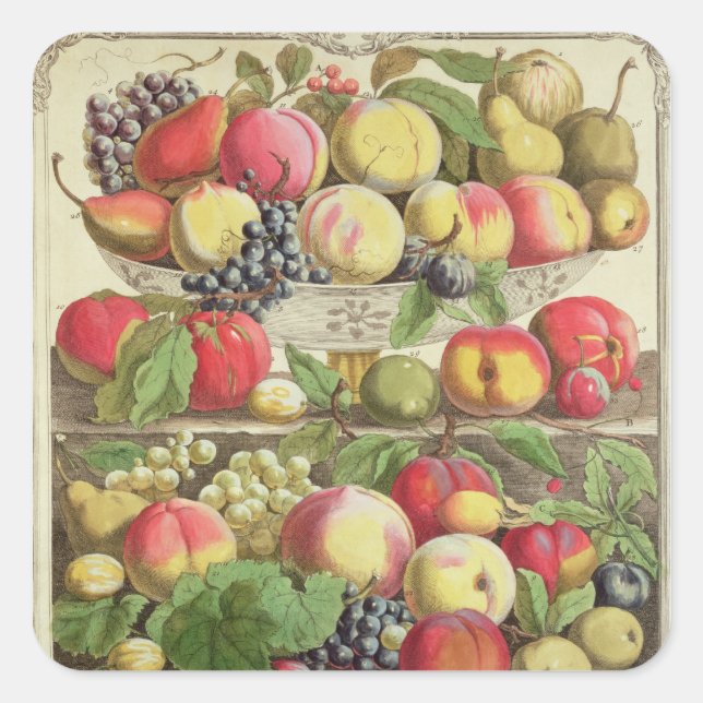 Pegatina Cuadrada Septiembre, desde "Doce meses de frutas" (Anverso)